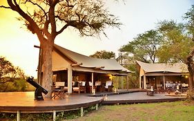 Rhino Walking Safaris